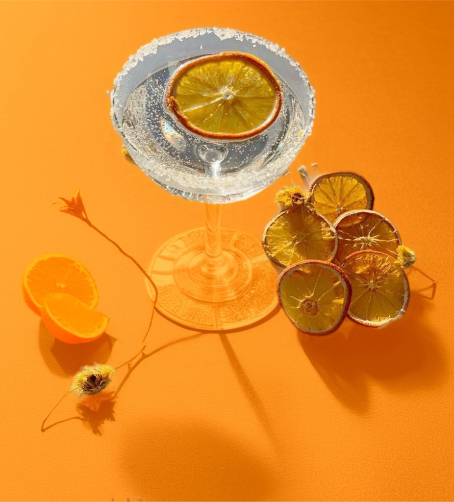 Image of a Cocktail with Dehydrated Slices of Orange